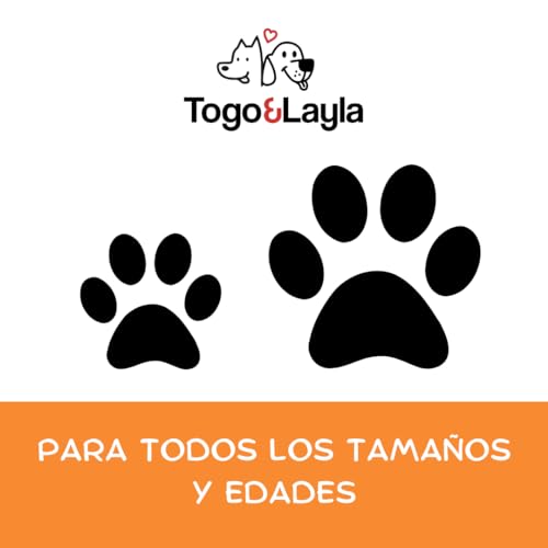 Togo y Layla Premios para Perro de Tráquea de Res Deshidratada 3 Piezas