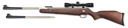 Beeman 10774 Silver Kodiak X2 DC Dual Caliber Air-Rifle with Scope, 4x32mm