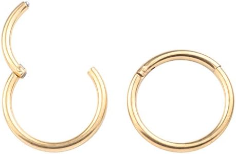 Rimi Jewelry Unisex 16G Surgical Stainless Nose Hoop Ring Earring Hinged Clicker Seamless Segment Helix Daith Cartilage Lip Piercing 10mm 2pcs