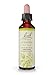 Bach Original Flower Remedies, Clematis - Have Focus - Natural Homeopathic Flower Essence for Emotional Balance - Vegan, Gluten Free, Sugar Free - 20mL Dropper