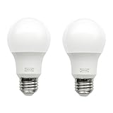 RYET LED bulb E26 600 lumen, globe opal 2 pack