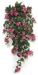 42" Bougainvillea Bush - Fuchsia | Indoor