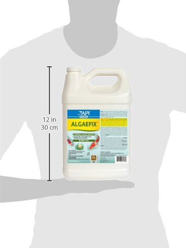 API POND ALGAEFIX Algae Control Solution 1-Gallon Bottle