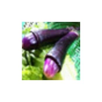 Amazon.com : Peter Pepper Red Hot Pepper 10+ seeds : Chile Pepper