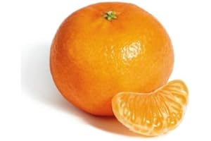 SEDLAV Clementines Easy to Peel, Seedless Citrus Snack (1 lb)