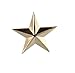 3D 5 Point Gold Star Lapel Pin