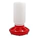 MACGOAL Automatic Poultry Feeder Small, Waste Free Chicken Feeder Jar, Baby Chick Feeder for Birds Pigeon Quail 1 Quart (Red and White)