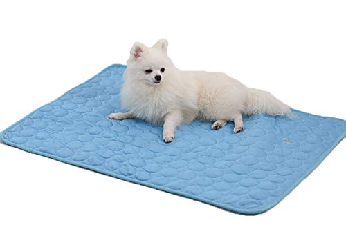 cool mat dog bed