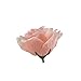 50pcs Colorfulife Artificial Silk 3.5