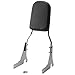 Backrest/Sissy Bar with Leather Pad Back Rest Seat Compatible with 1996-2005 Kawasaki VN800 Vulcan Classic Chrome Metric Cruisers Motorcycle