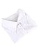 EBOOT Fake Collar Detachable Dickey Blouse Half Shirts for Girls and Women (White, Medium)