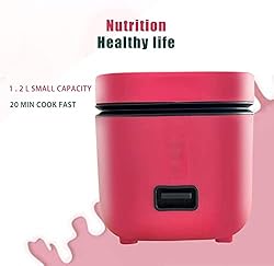 Rice Cooker Small with Removable Non-stick