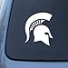 Michigan State Spartans - Car, Truck, Notebook, Vinyl Decal Sticker #2719 | Vinyl Color: White