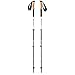 Black Diamond Alpine Carbon Trekking Poles