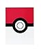 Pokemon 17