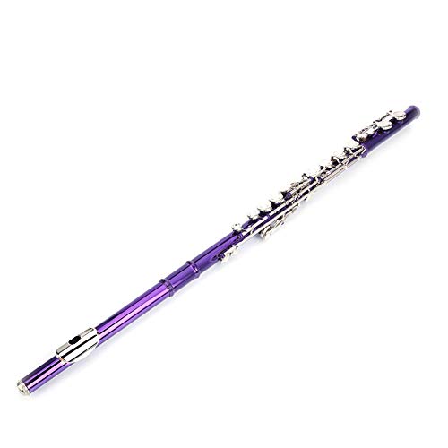 DREAMALVA Purple 16 Hole C Closed Hole White Copper Flute + Pass Rod + Cleaning Cloth + Lubricant + Screwdriver