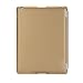 BESDATA Ultra Slim Lightweight Smart Stand Cover Auto Wake/Sleep Function & Translucent Back Case for Apple iPad 2 / iPad 3 / iPad 4 Bundle with Screen Protector, Cleaning Cloth & Stylus (Gold)