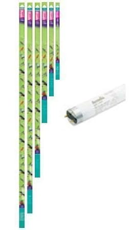 Arcadia - Bird Lamp 18W (600mm)
