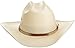 Stetson Men's Grant T Hat, Natural, 7 1/4