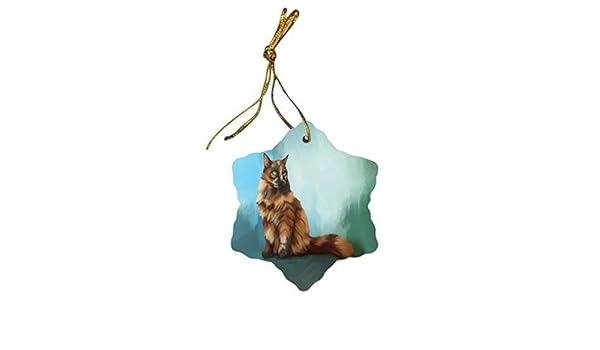 Amazon Com Long Haired Tortoise Shell Cat Christmas Snowflake