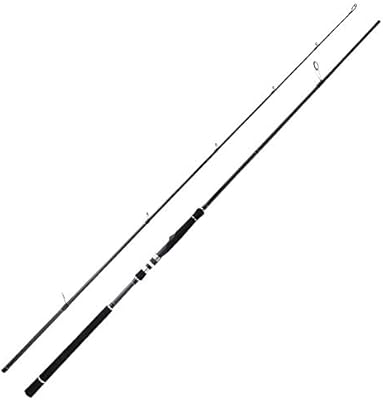 striper fishing rods