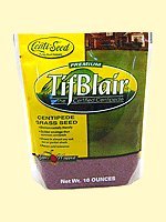 Centipede Grass Seeds"Tifblair Certified" 1 LB - 4000 Sq. Ft. Coverage