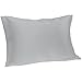 Spasilk Pure Silk Pillowcase, Charmeuse Silk Pillowcase, Hypoallergenic, Queen Sized, Silver