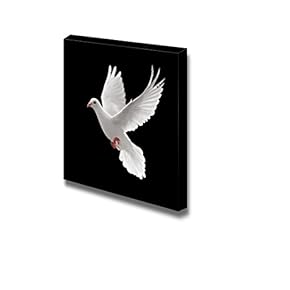 Canvas Prints Wall Art - Dove Flying on Black Background | Modern Wall Decor/Home Decoration Stretched Gallery Canvas Wrap Giclee Print. Ready to Hang - 12" x 12"