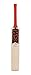 General Motors GM Mana 101 Kashmir Willow Cricket Bat, Short Handle