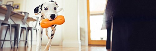 image for West Paw Zogoflex Qwizl Interactive Treat Dispensing Dog Puzzle Treat 