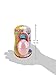 Nuby Paci-Cradle Pacifier Box, Colors May Vary