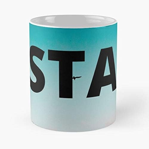 Pandamic Stay 19 Corona Home Covid Best 11 Ounce Ceramic Coffee Mug Gift