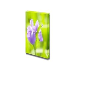 Japanese Iris Wall Decor