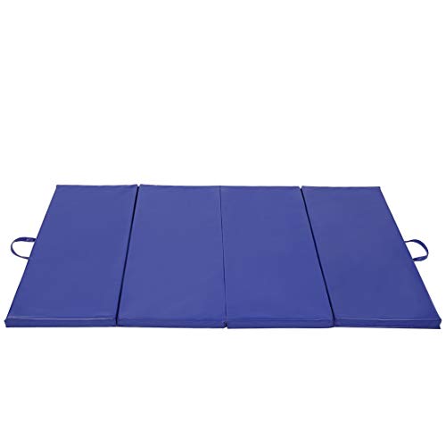 gymmatsdirect Gymnastics Expandable Kip Bar with Mat Blue Set Packages