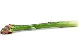 Asparagus, Large Artificial Vegetable Fake Food, Box of 12