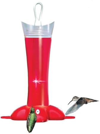 Amazon Com Birdscapes 279 Deluxe Rose Petal 12 Ounce Glass