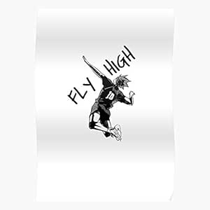 Amazon.com: kineticards Shoyo High Haikyuu Hinata Fly ...