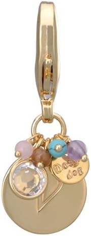 Dosha Dog Gold Initial Charm Letter V