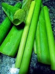 Fresh-GPS-Taro Stem (Colocasia esculenta Stem)-1 lbs