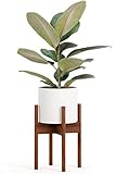 Fox & Fern Mid-Century Modern Plant Stand