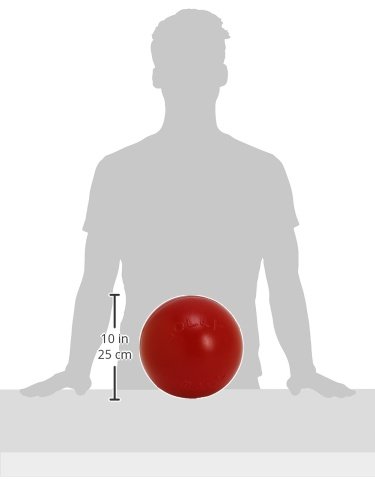 Jolly Pets 10-Inch Push-n-Play, Red