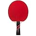 Ping Pong Paddle Set of 4 - Pro Wood Ping-Pong Paddles and 8 Light Regulation Table Tennis Balls - This 4-Player Racket and Ball Kit is the Perfect Indoor Sports Game Gift for Kids or Professional