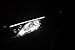 DunGu H11 Headlight Fog Bulb 55W 5000K Pure White For Car Motorcycle Boat 12V (pack of 2)