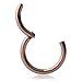 Ruifan 1PC Stainless Steel Hinged Seamless Segment Hoop Septum Clicker Ring Lip Helix Tragus Cartilage Earrings Nose Rings Pirecing 14g 10mm Rose Gold