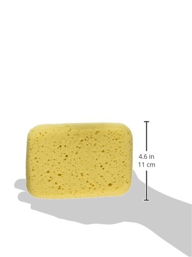 Decker 16DBS Body Sponge for Dogs and Horses, Medium