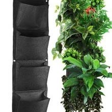 Vertical & Wall Planters