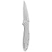 Kershaw 1660 3-Inch Bead-Blasted Leek Folding Pocketknife with Speedsafe