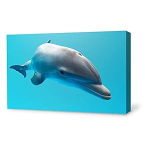 Canvas Wall Art Lovely Dolphin Canvas Prints Home Artwork Decoration for Living Room,Bedroom - 12x18 inches