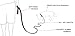 EzyDog Track and Train Leash, Black