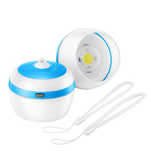 E-TRENDS 2 Pack/4 Pack Compact LED Lantern Tent Camp Light Bulb for Camping Hiking Fishing Emergency Lights, Battery Powered Portable Lamp